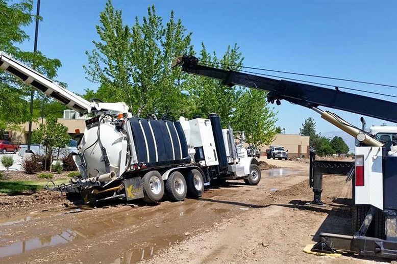 downloadedImage-21221